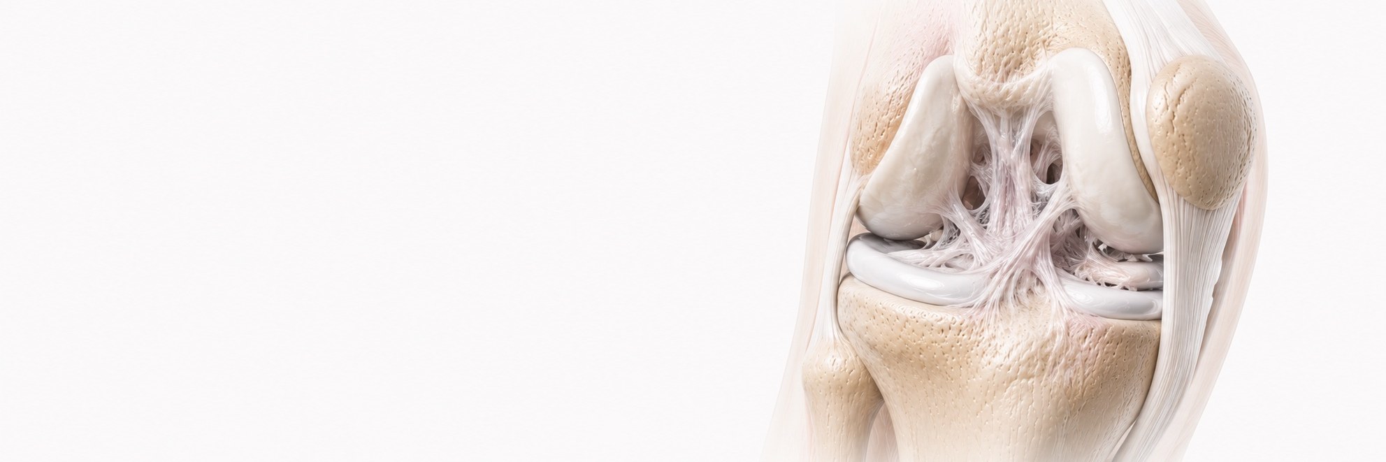 Knee Stiffness & Arthrofibrosis
